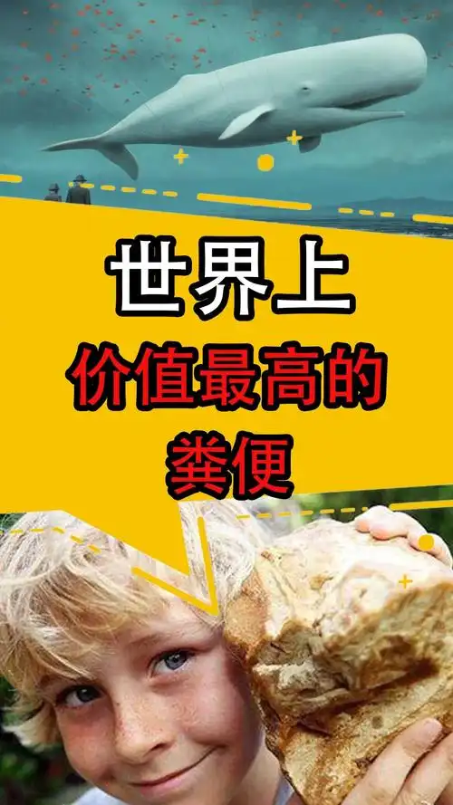 搞笑#这大概是世界上最香的便便了吧?