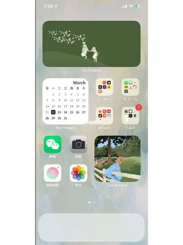 iphone96ios14桌面布局_iphone_ios14_iphone桌面整理_科技数码