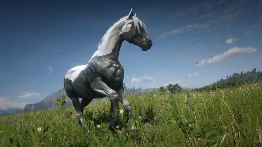 荒野大镖客2 马 feathered appaloosa ~(替换白色阿拉伯) 截图