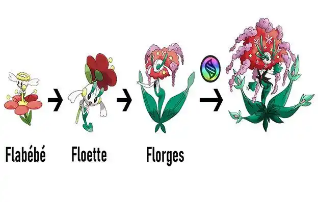 mega进化的宝可梦们,甲贺忍蛙全副武装上阵,贵妇形象的花洁夫人