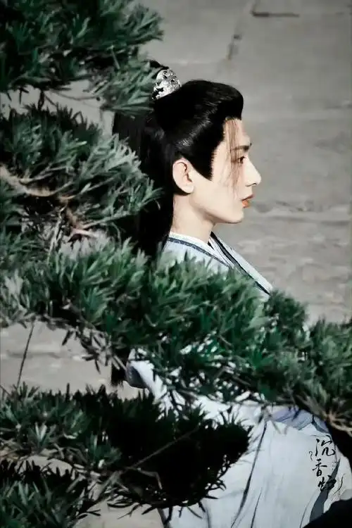 1部定档|成毅|杨紫|古装|潘粤明|王千源|悬疑剧|实力派演员_网易订阅