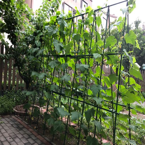 支架架子园艺爬藤丝瓜黄瓜攀爬植物绿植藤架花架