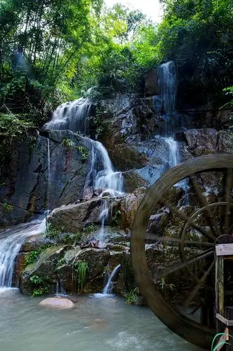 同学群游安吉长谷洞景区