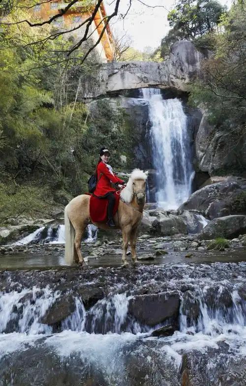 神雕侠侣!哈哈,金庸的小说看多了.