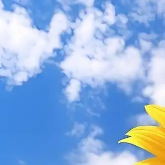 阳光信用# [鲜花]#每日一善#   善良的人总是快乐的,感恩的人总是