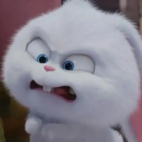 愤怒的兔子1478356186109608的自频道-优酷视频