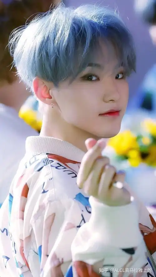 seventeen有哪些你很喜欢的图