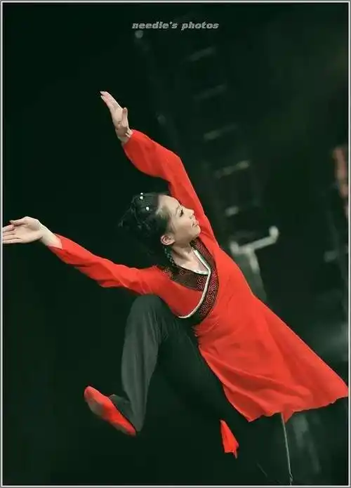 赋精选片段真不愧是北舞的ta们把汉唐古典舞特有的大气和典雅与控制