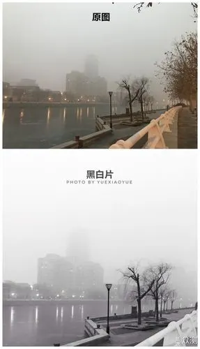 手机摄影|教你如何在"阴天"拍出新感觉!