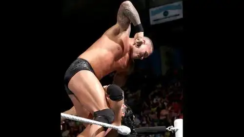 兰迪·奥顿 vs 达米安·桑道《raw 2013.5.7》(11) - wwe之家