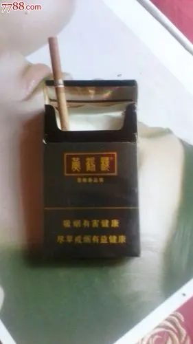 黄鹤楼雪雅香极限3d