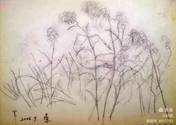 芦苇,最初的户外写生,颐和园.师 造 化 !