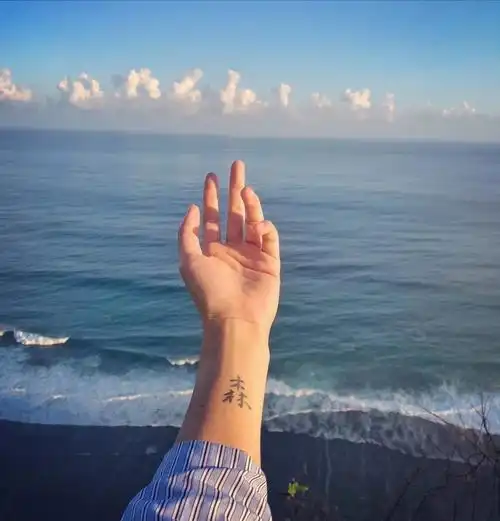 moon | 手上的风光,指引着远方,欲盖爱的弥彰