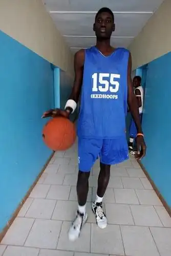 身高2米2以上篮球巨人