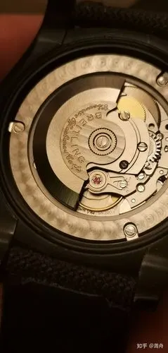 这个是sw200机芯么