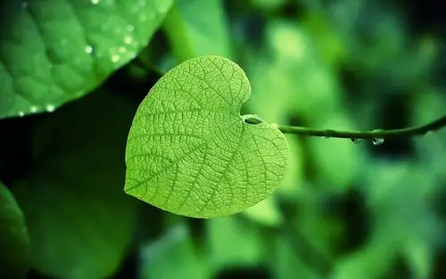 年少时的喜欢,总是喜悦和忧伤参半,幸福和担心掺杂