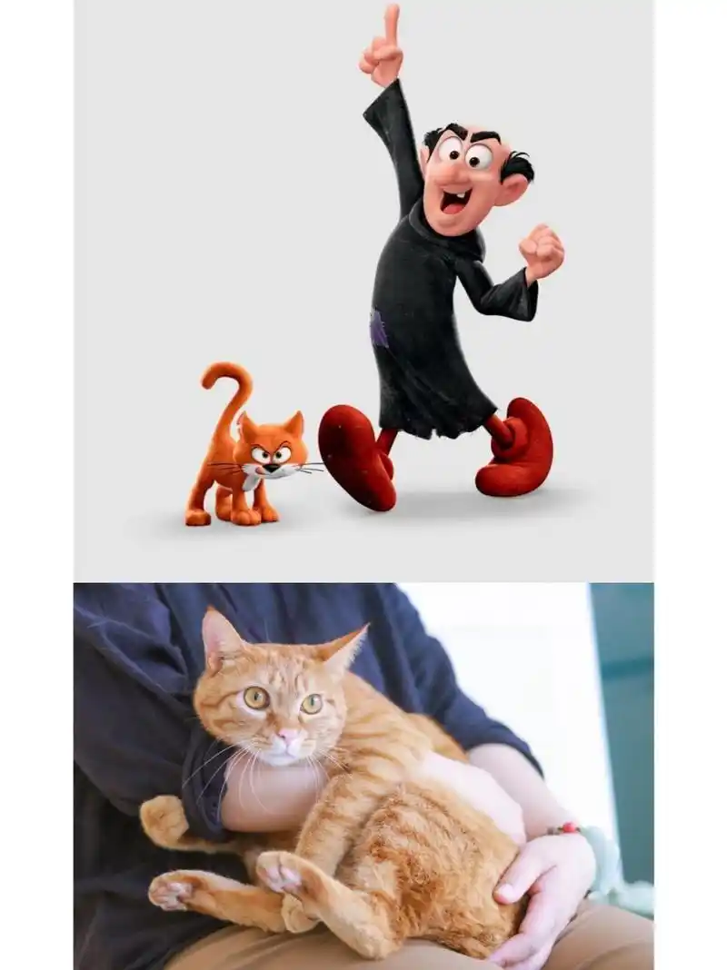 《蓝精灵》阿兹猫 | 动漫里的猫 "阿兹猫"又叫阿滋猫,是美国动画片