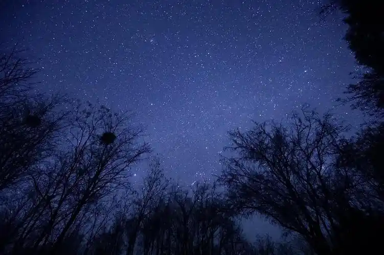 水 没想到谷帝星空照如此出圈