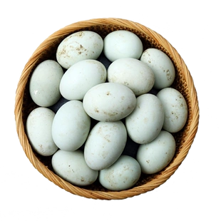 1950克绿壳鸭蛋新鲜生农家散养土鸭蛋麻鸭青壳绿皮草鸭蛋30枚大个