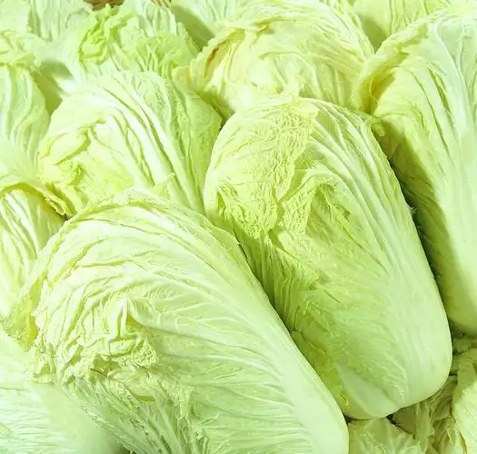 元芳,我们白菜卖不出去,你看怎么办?