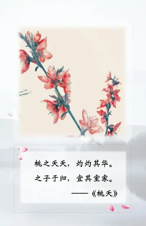 诗词歌赋|《诗经》篇— 《桃夭》_桃花