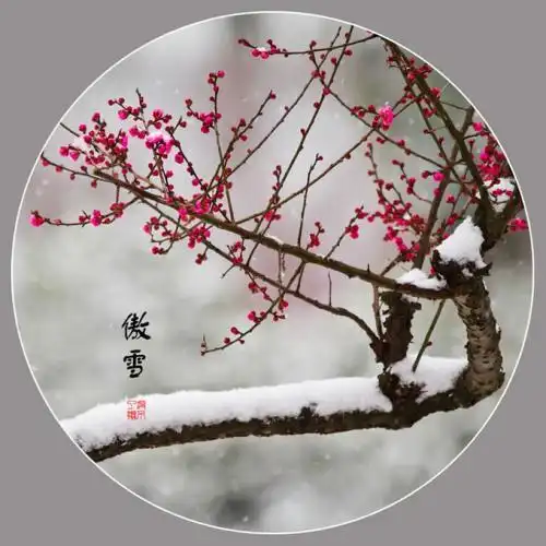 辛弃疾这首咏梅词,全词无一个梅字,却句句写出对梅花的深重喜爱