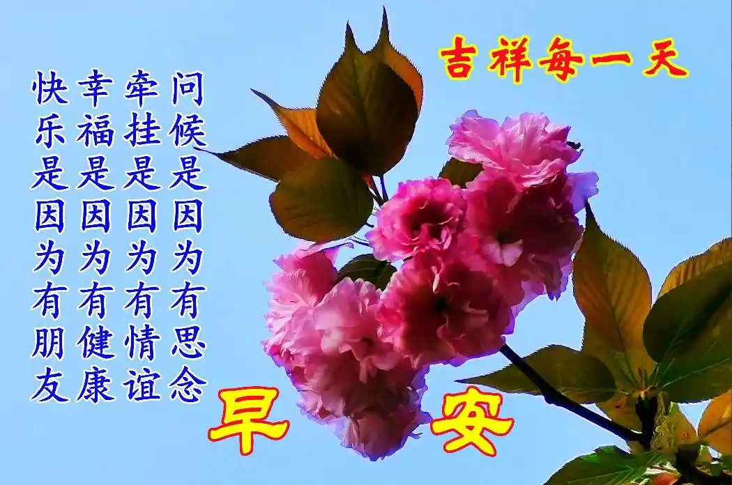 12月19日星期一漂亮早上好祝福语大全问候语暖心表情包图片带字