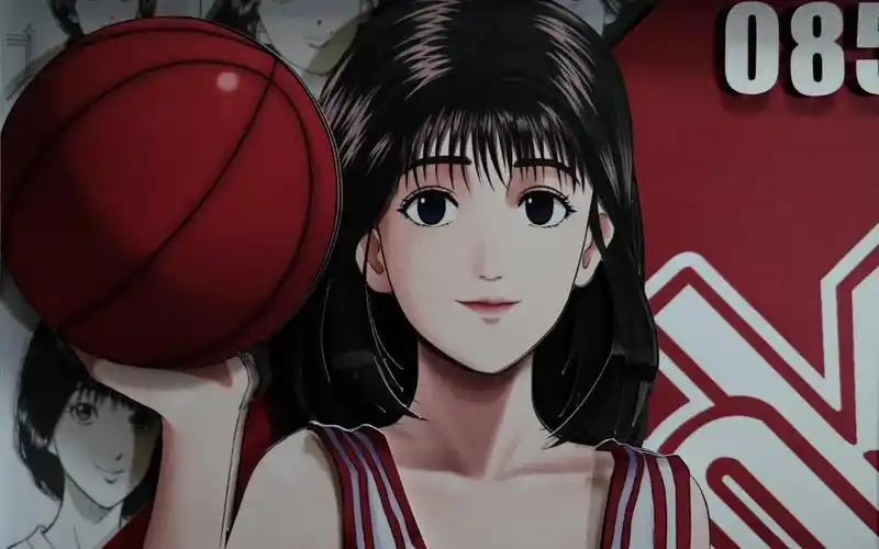 【灌篮高手】slam dunk|赤木晴子限量同人画展示|初恋回家了!爷青回