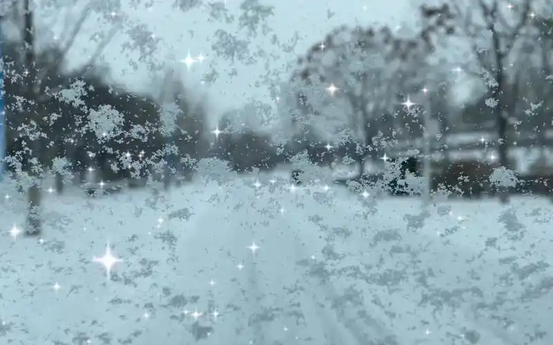 雪国列车:窗外飘雪的诗篇