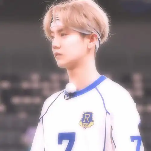 自修〕鹿晗爱豆头像