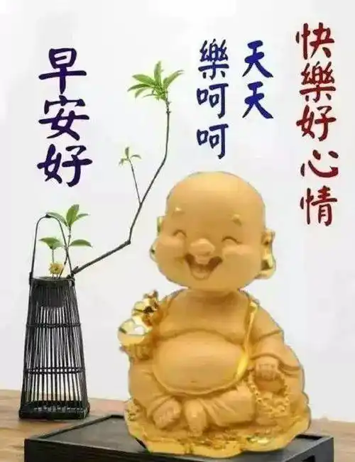 小和尚禅意的早上好表情包,祝福你知足常乐,事事美好!