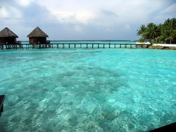 马尔代夫靓丽海滩风景谁都是绿色的