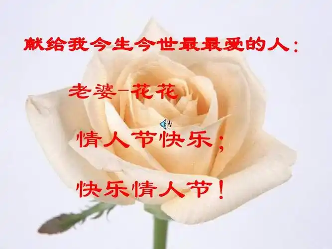 献给我今生今世最最爱的人: 老婆-花花 情人节快乐; 快乐情人节!