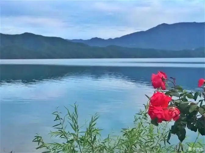 漫步在宁静古巷里的时光很是惬意温暖的古镇让人感觉岁月静好