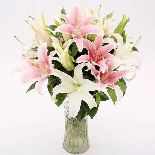 玫瑰花百合花束瓶插花 同城鲜花配送 12朵混色百合花-不含花瓶 平时价
