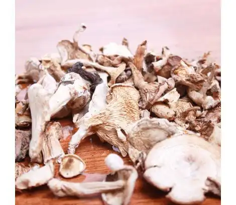 阿尔山白花脸蘑菇 250g 市价300起一斤