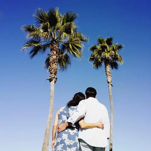 西方人,中年人,两个人,家庭,夫妻,站,抱,方图,室外,白天,仰视,爱情