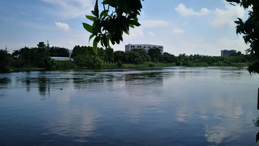 感觉8.1的成像好多了!比以前更真实了!接近人眼看到的景象!