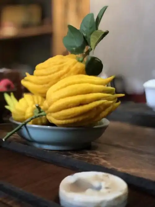 佛手果全国包邮