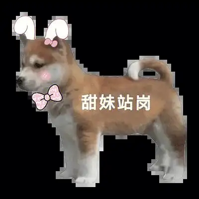 我的甜妹修勾给我站岗