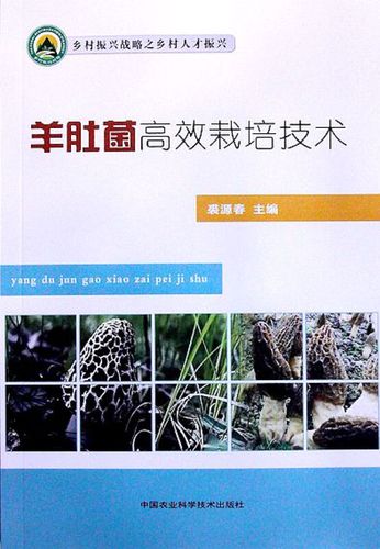 【正版】羊肚菌高效栽培技术裘源春中国农业科学技术出版社