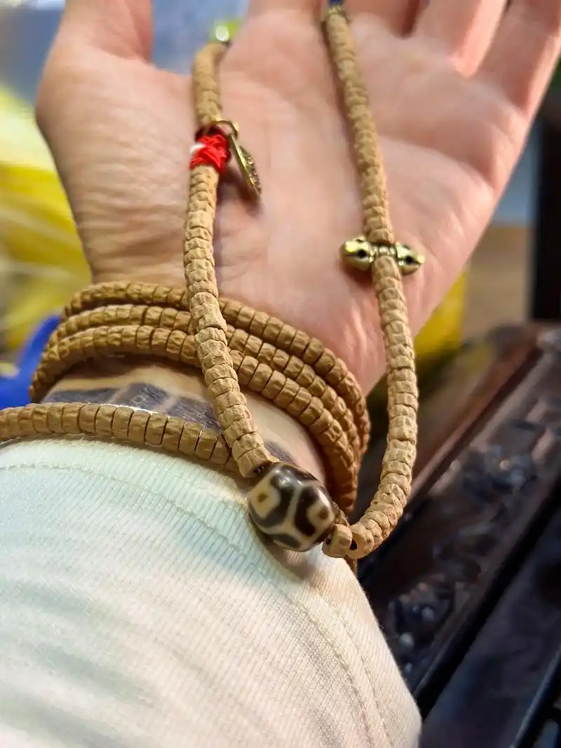 百香籽与天珠完美的搭配,感谢您的欣赏#文玩 #文玩手串 # - 抖音