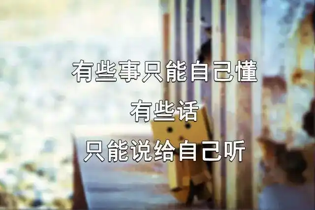 经历的多了,看透的多了,伤的多了,痛的多了,心碎了……也越来越孤独了