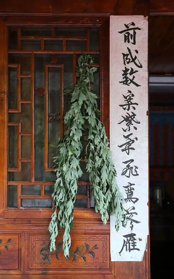 端午节民间插挂艾草在大门或窗户边