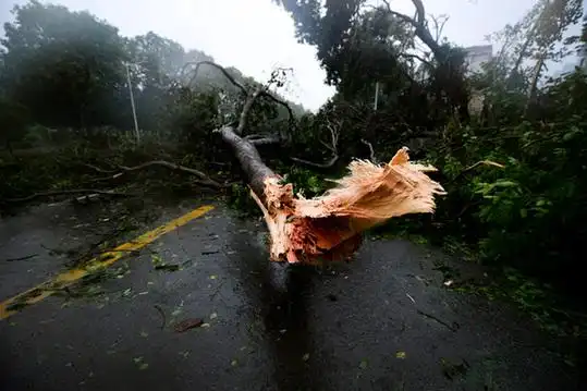 强台风"山竹"登陆广东