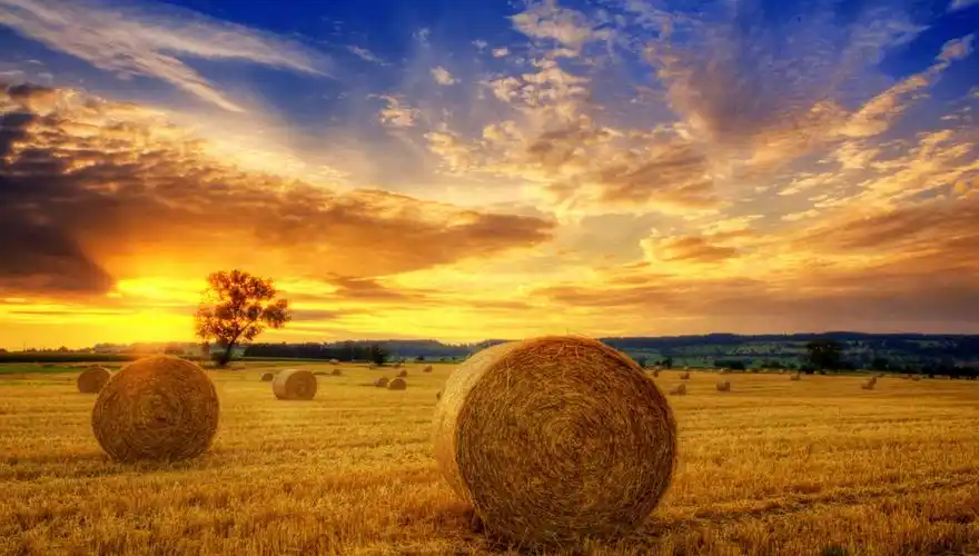 2014-6-21 晨更信息:聚敛,积蓄,收存,防备