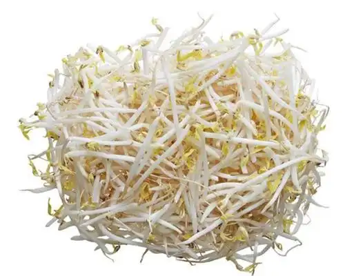 【新联华】绿豆芽