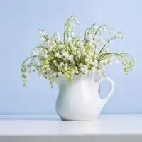 铃兰花女生用的头像【点击鼠标右键下载】