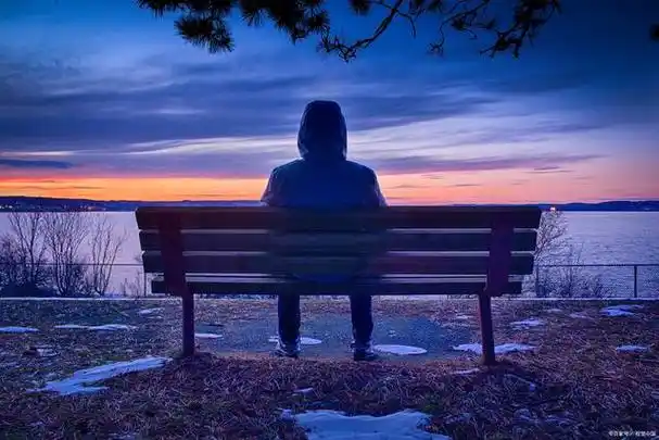 独处和社交都是人类情感和心理需求的两种表现形式.