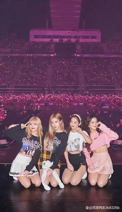 这次演唱会不仅展示了blackpink的非凡才华和舞台魅力